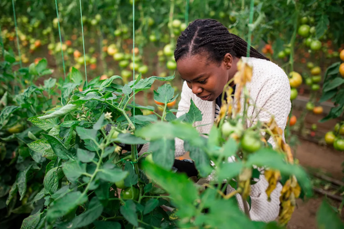 lady farmer image