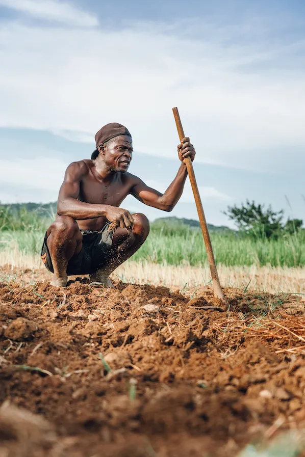 farmer image